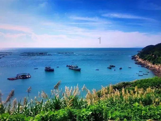 寻找5个差异